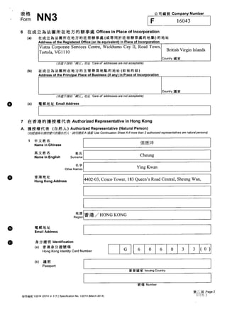 Brightest Resources HK Corporate Records