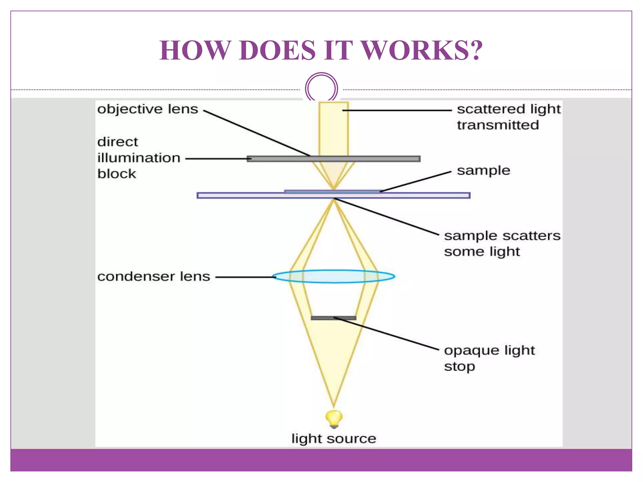 Bright field microscope | PPTX