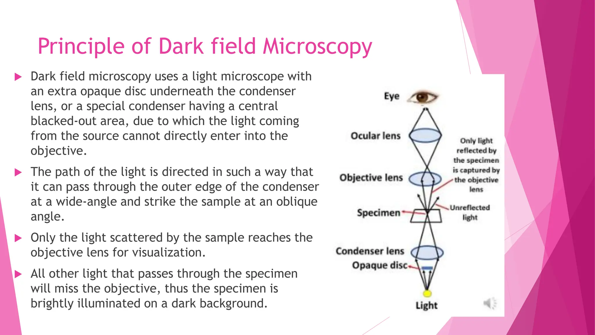 Principle of Dark field Microscopy
 Dark field microscopy uses a light microscope with
an extra opaque disc underneath the condenser
lens, or a special condenser having a central
blacked-out area, due to which the light coming
from the source cannot directly enter into the
objective.
 The path of the light is directed in such a way that
it can pass through the outer edge of the condenser
at a wide-angle and strike the sample at an oblique
angle.
 Only the light scattered by the sample reaches the
objective lens for visualization.
 All other light that passes through the specimen
will miss the objective, thus the specimen is
brightly illuminated on a dark background.
 