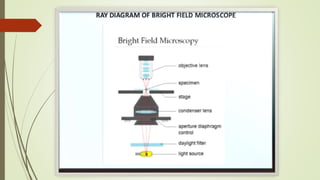 Bright field simple microscope | PPTX