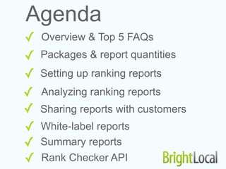 local search rank checker