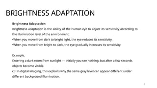 BRIGHTNESS ADAPTATION & DISCRIMINATION.pptx