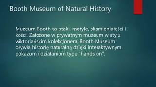 Booth Museum of Natural History
Muzeum Booth to ptaki, motyle, skamieniałości i
kości. Założone w prywatnym muzeum w stylu
wiktoriańskim kolekcjonera, Booth Museum
ożywia historię naturalną dzięki interaktywnym
pokazom i działaniom typu "hands on".
 