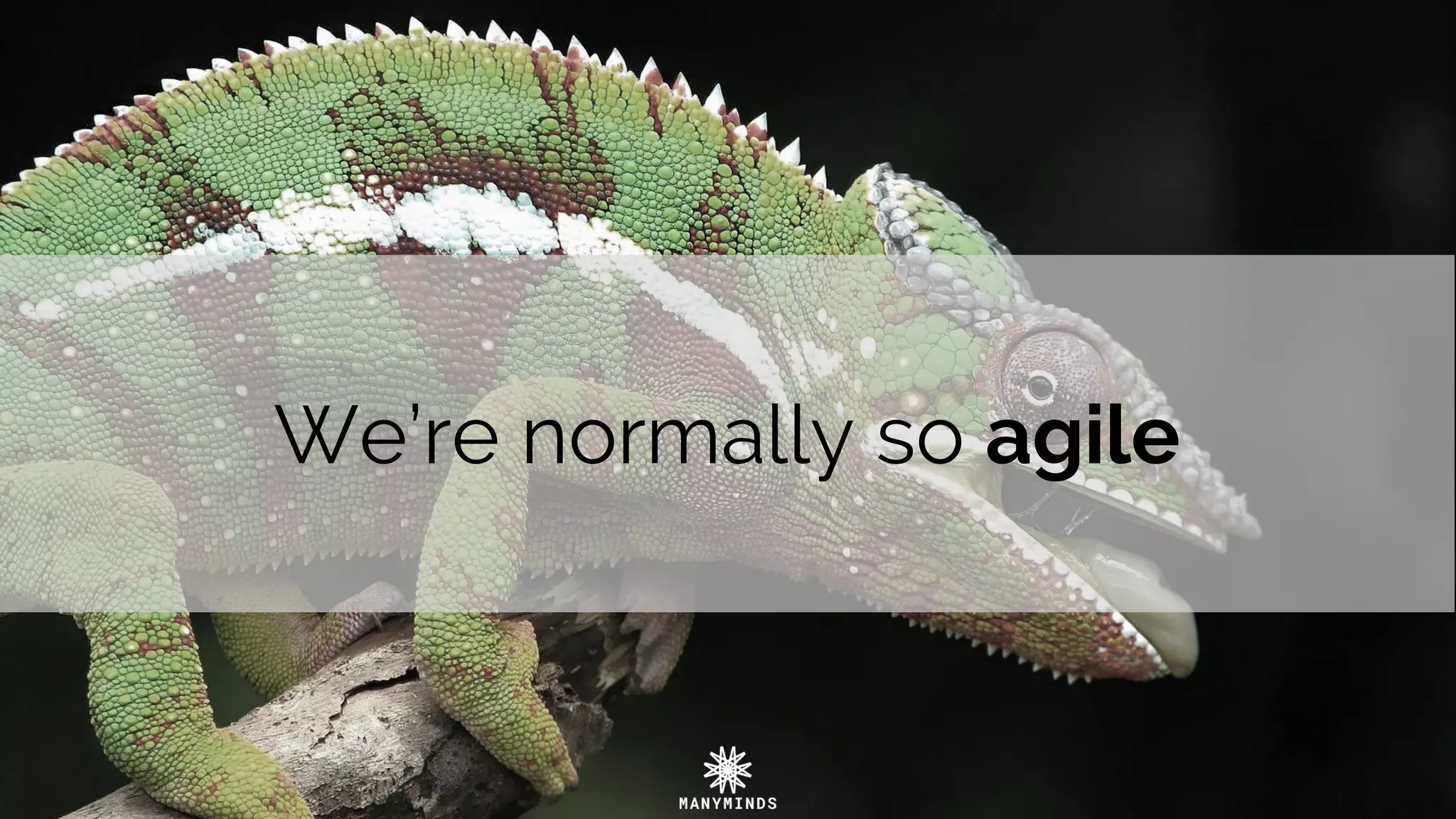 We’re normally so agile
 