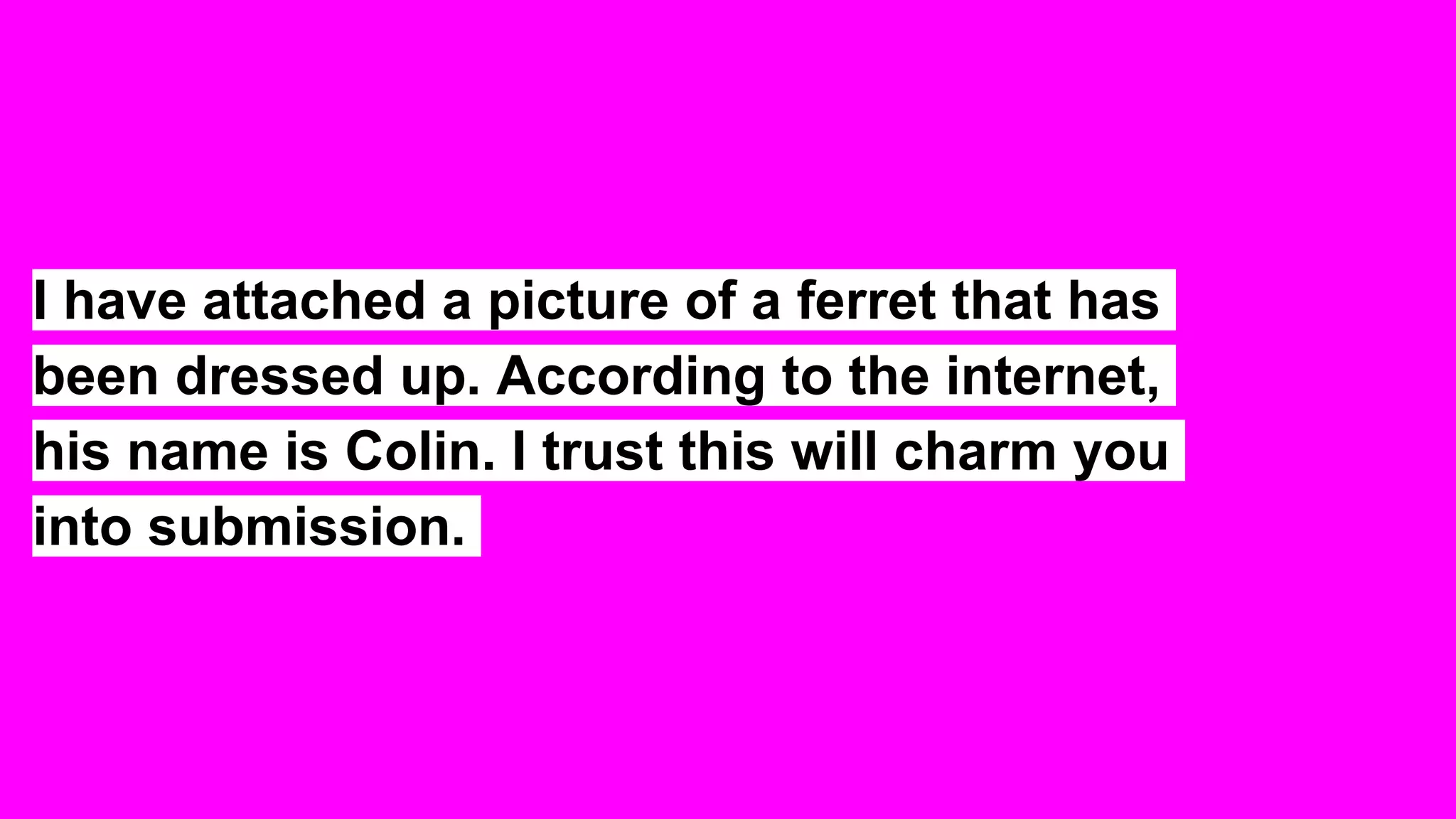 I have attached a picture of a ferret that has
been dressed up. According to the internet,
his name is Colin. I trust this will charm you
into submission.
 