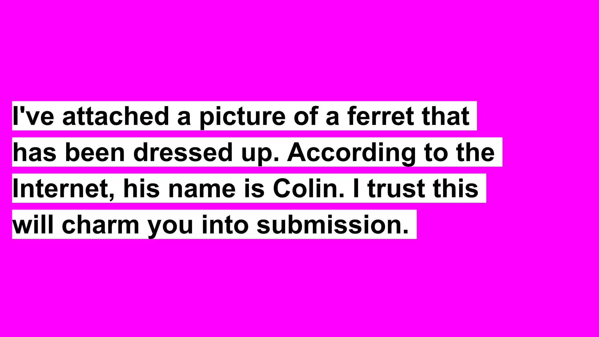 I've attached a picture of a ferret that
has been dressed up. According to the
Internet, his name is Colin. I trust this
will charm you into submission.
 