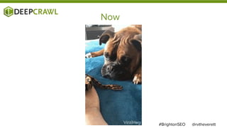 Now
@rvtheverett#BrightonSEO
 
