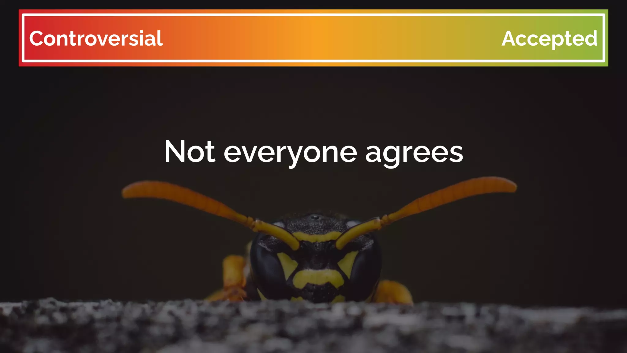 Not everyone agrees
Controversial Accepted
 