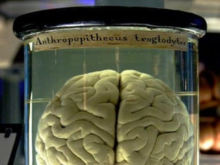 Stephen Croome 
@firstconversion 
firstconversion.com  