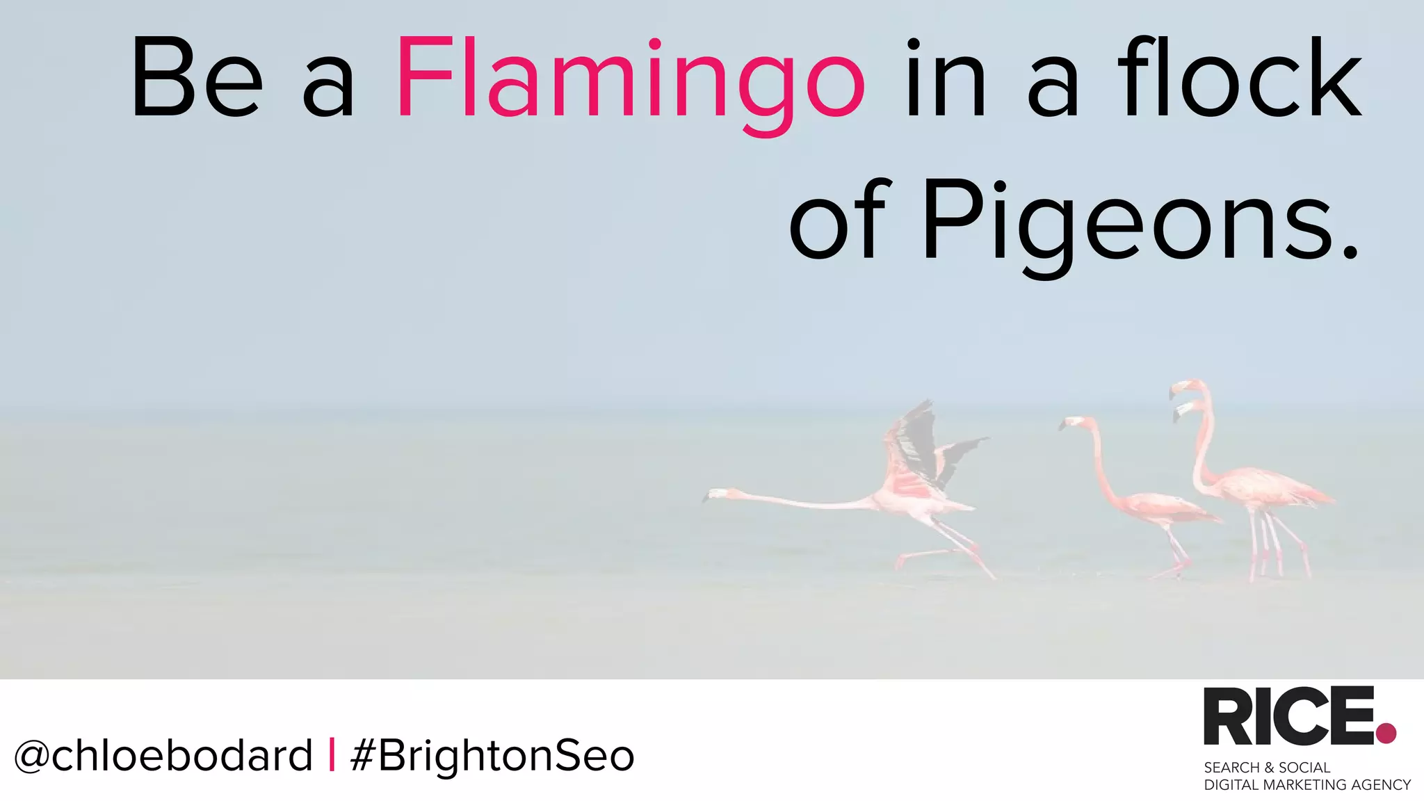 @chloebodard | #brightonseo@chloebodard | #BrightonSeo
Be a Flamingo in a flock
of Pigeons.
 