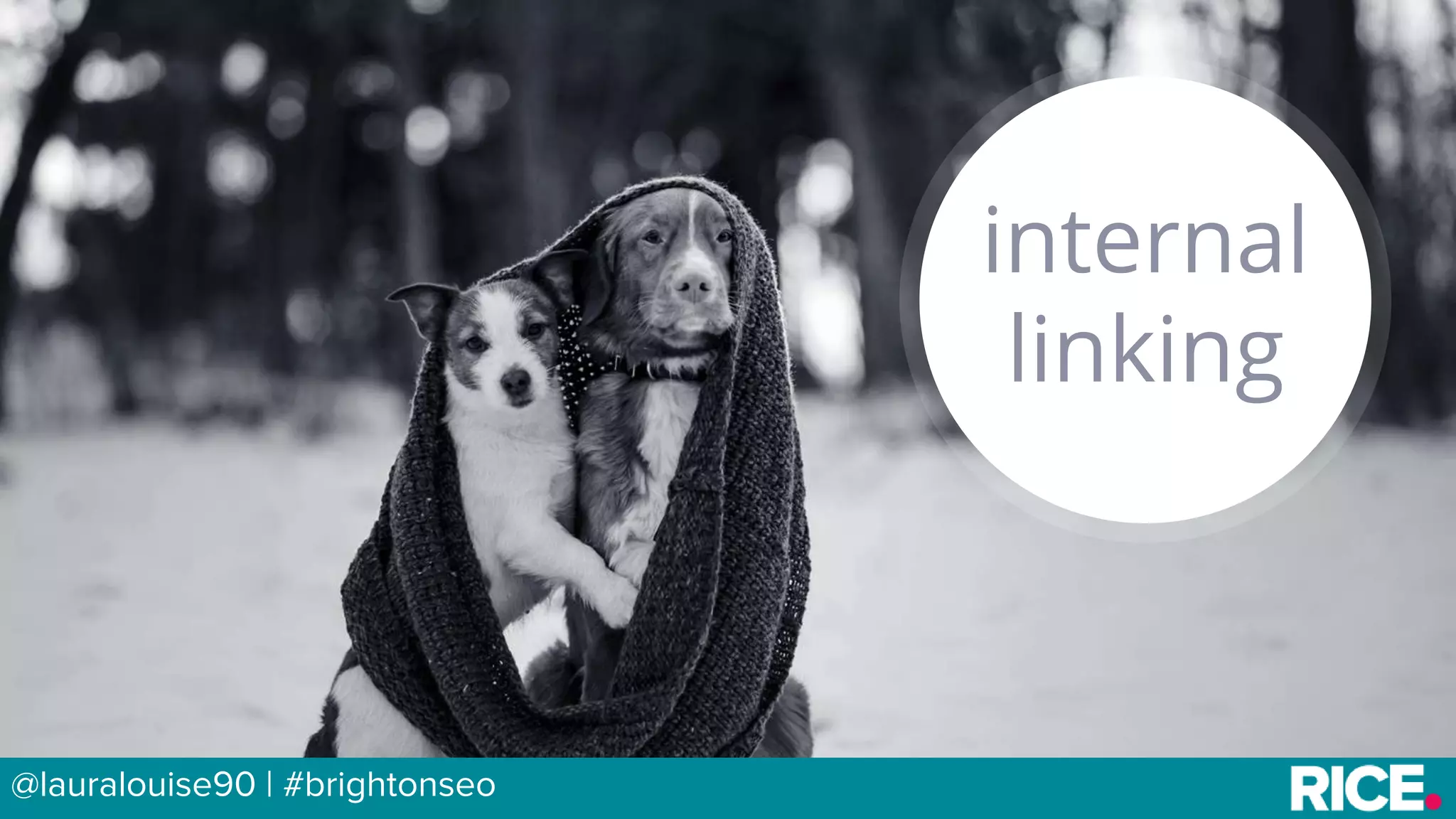 BRAUMGroup 15
internal
linking
@lauralouise90 | #brightonseo
 