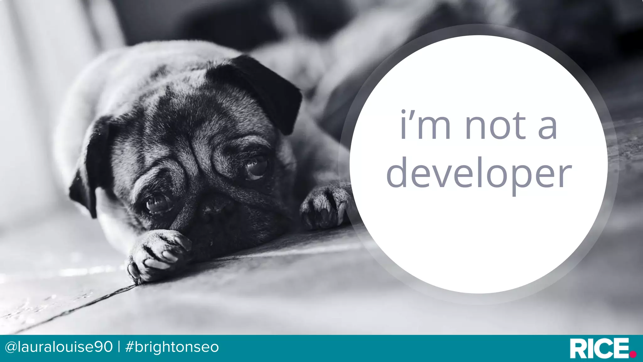 BRAUMGroup 4
i’m not a
developer
@lauralouise90 | #brightonseo
 