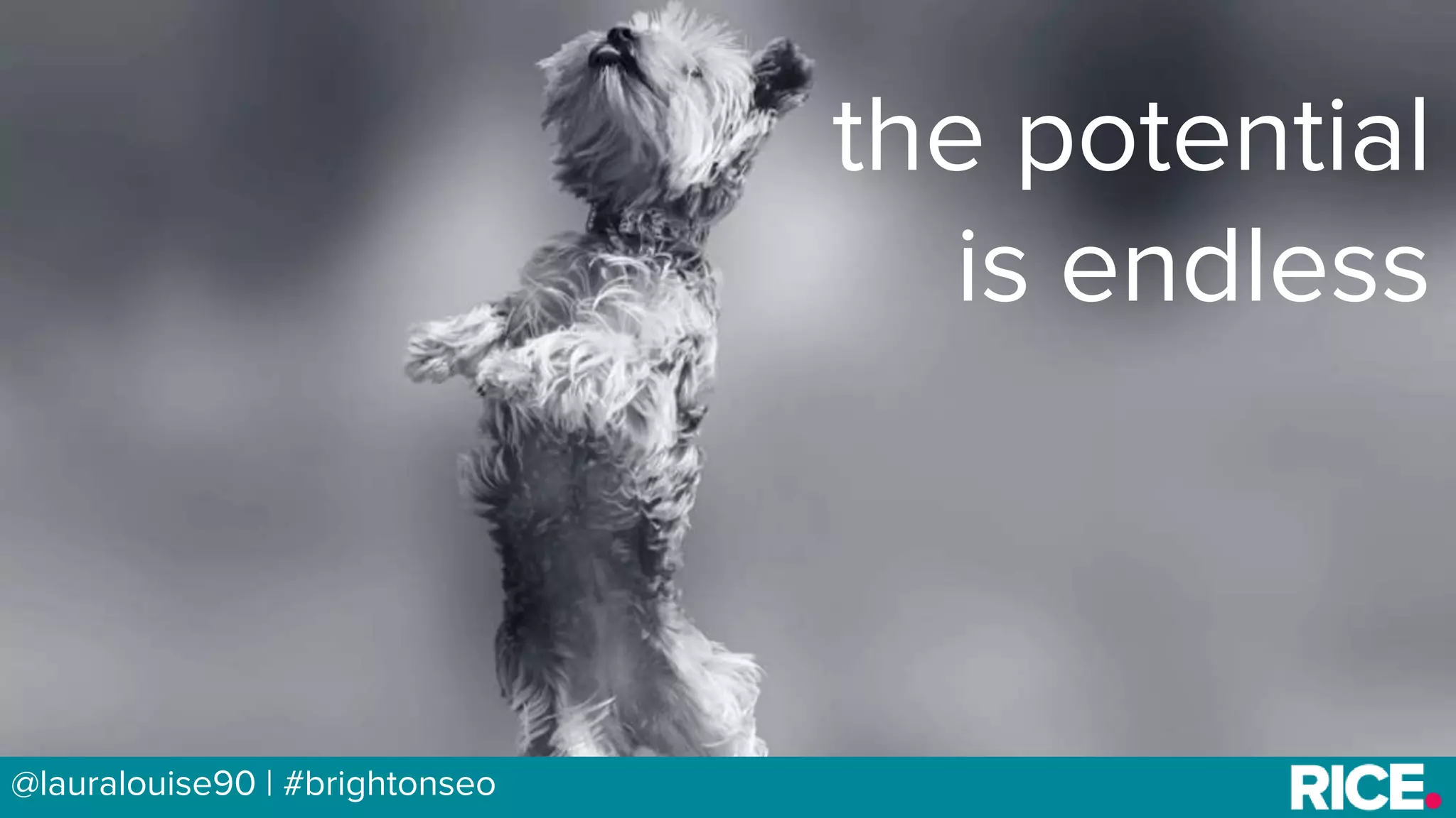 BRAUMGroup 46@lauralouise90 | #brightonseo
the potential
is endless
 