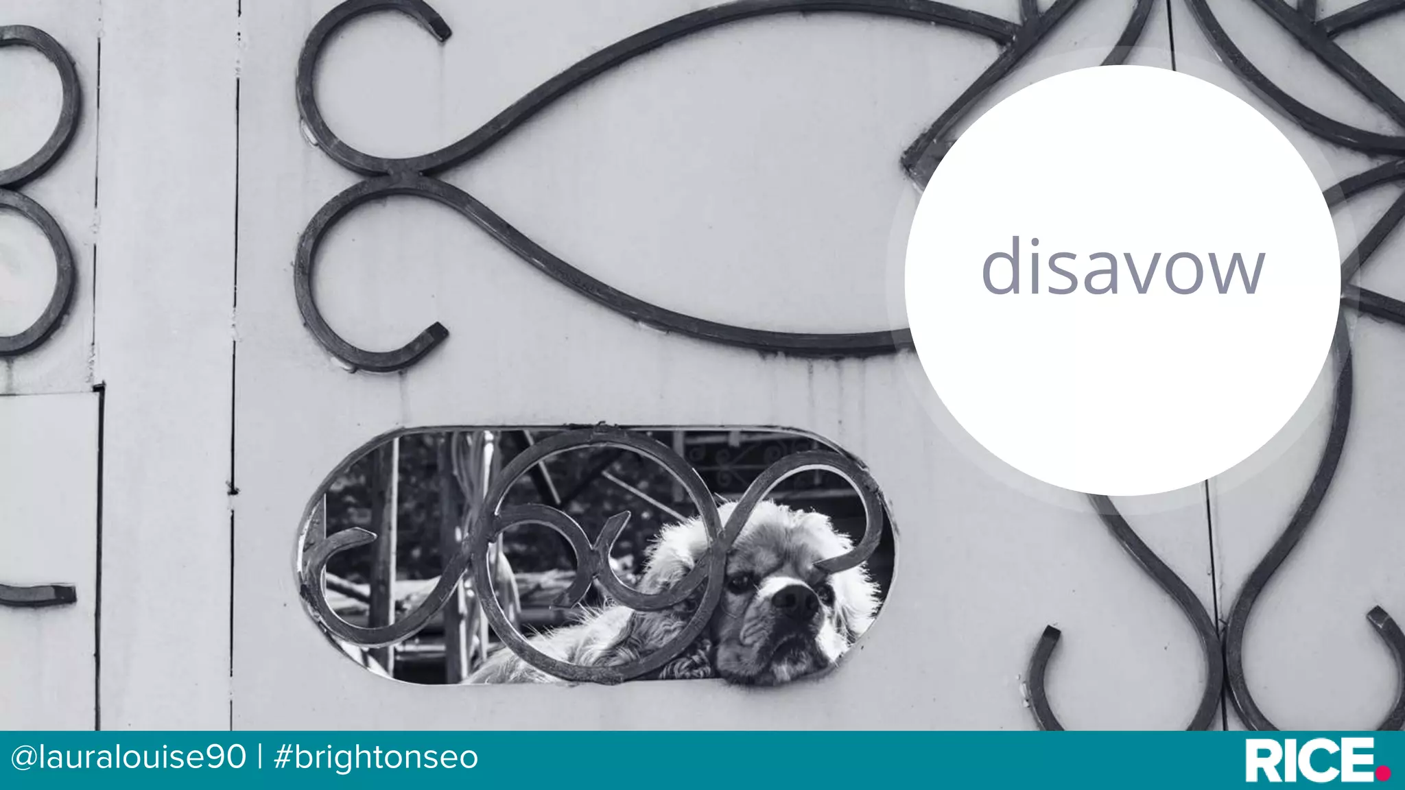 BRAUMGroup 48
disavow
@lauralouise90 | #brightonseo
 