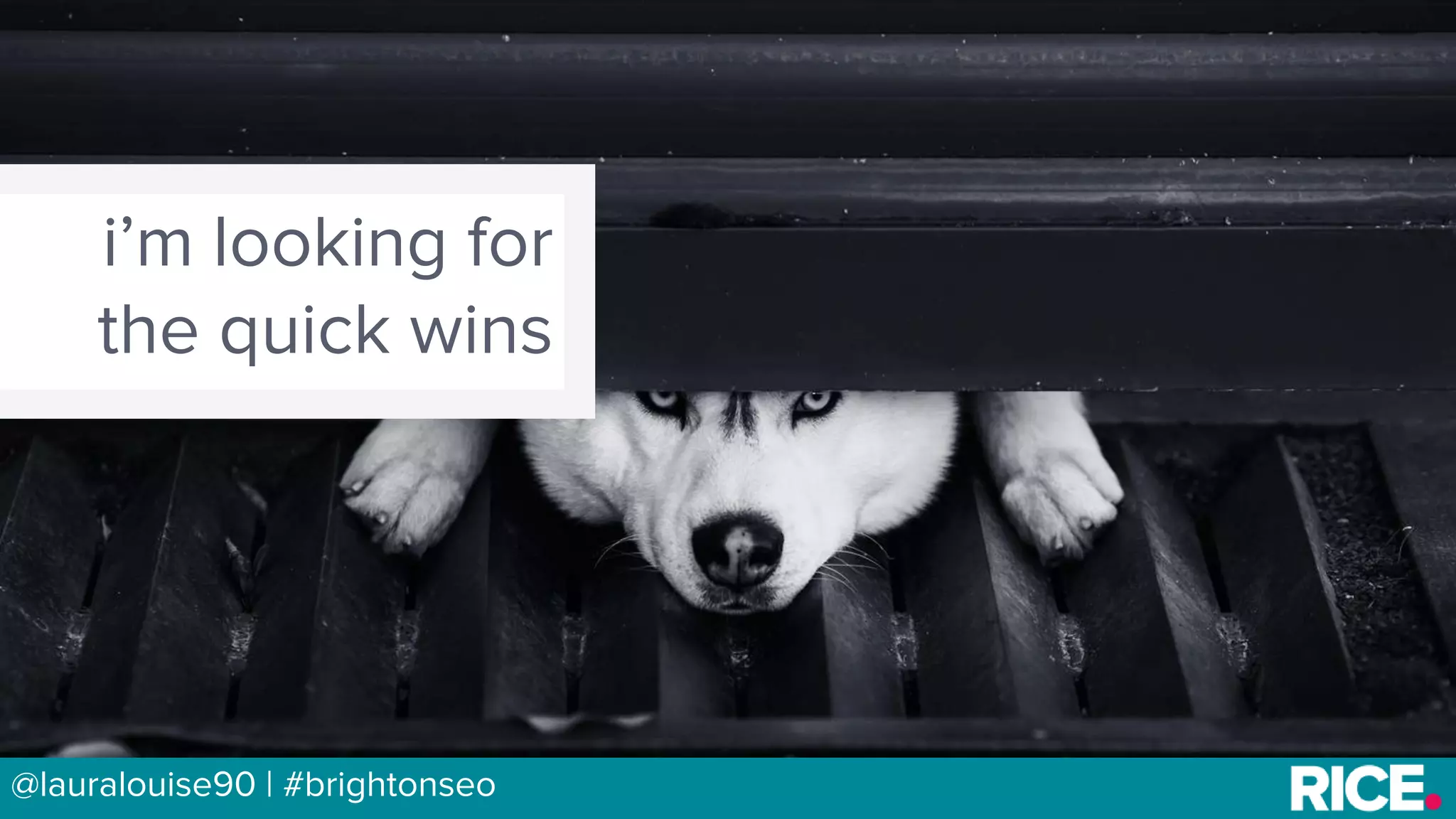 BRAUMGroup 5
i’m looking for
the quick wins
@lauralouise90 | #brightonseo
 