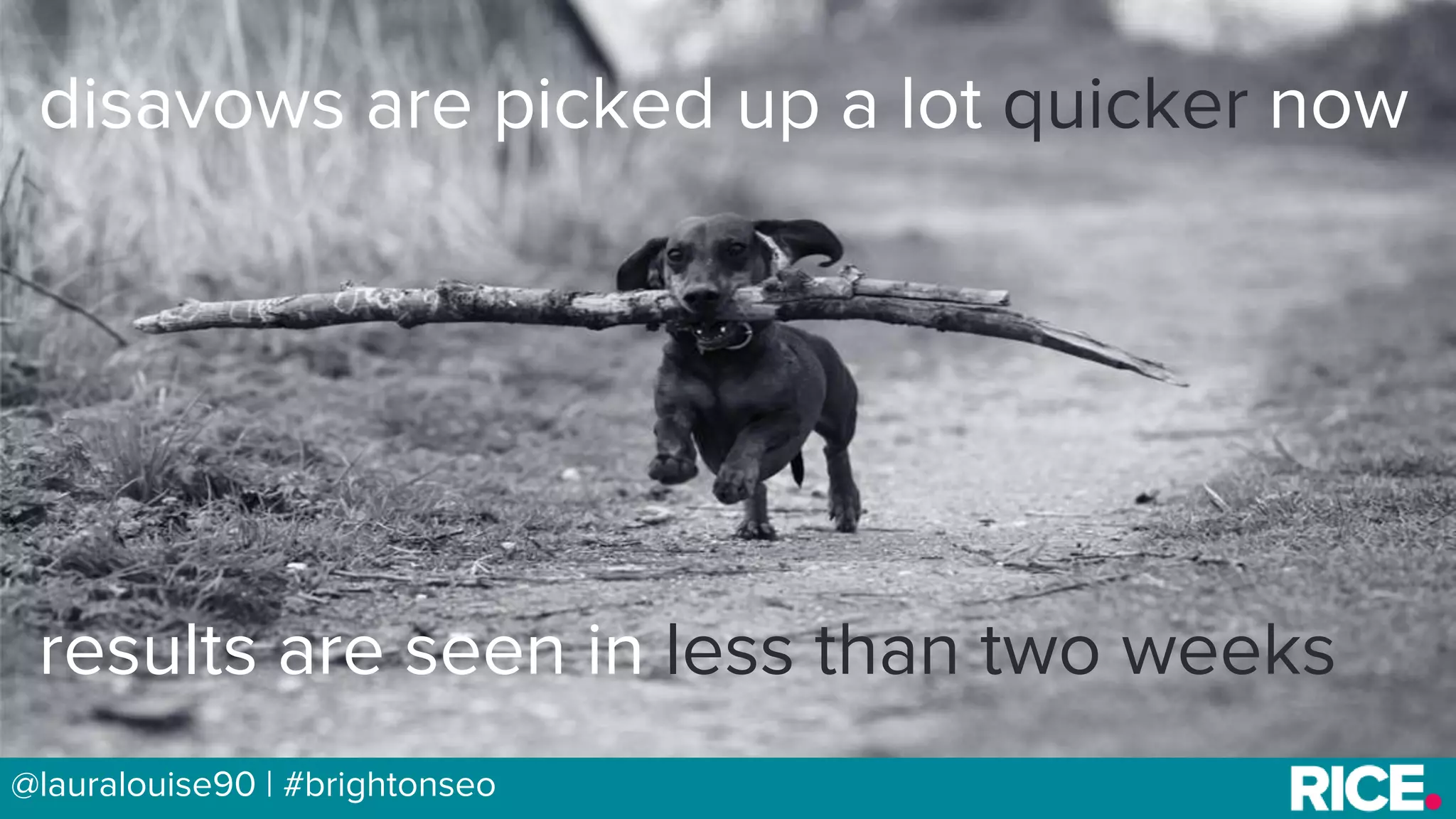 BRAUMGroup 52@lauralouise90 | #brightonseo
disavows are picked up a lot quicker now
results are seen in less than two weeks
 