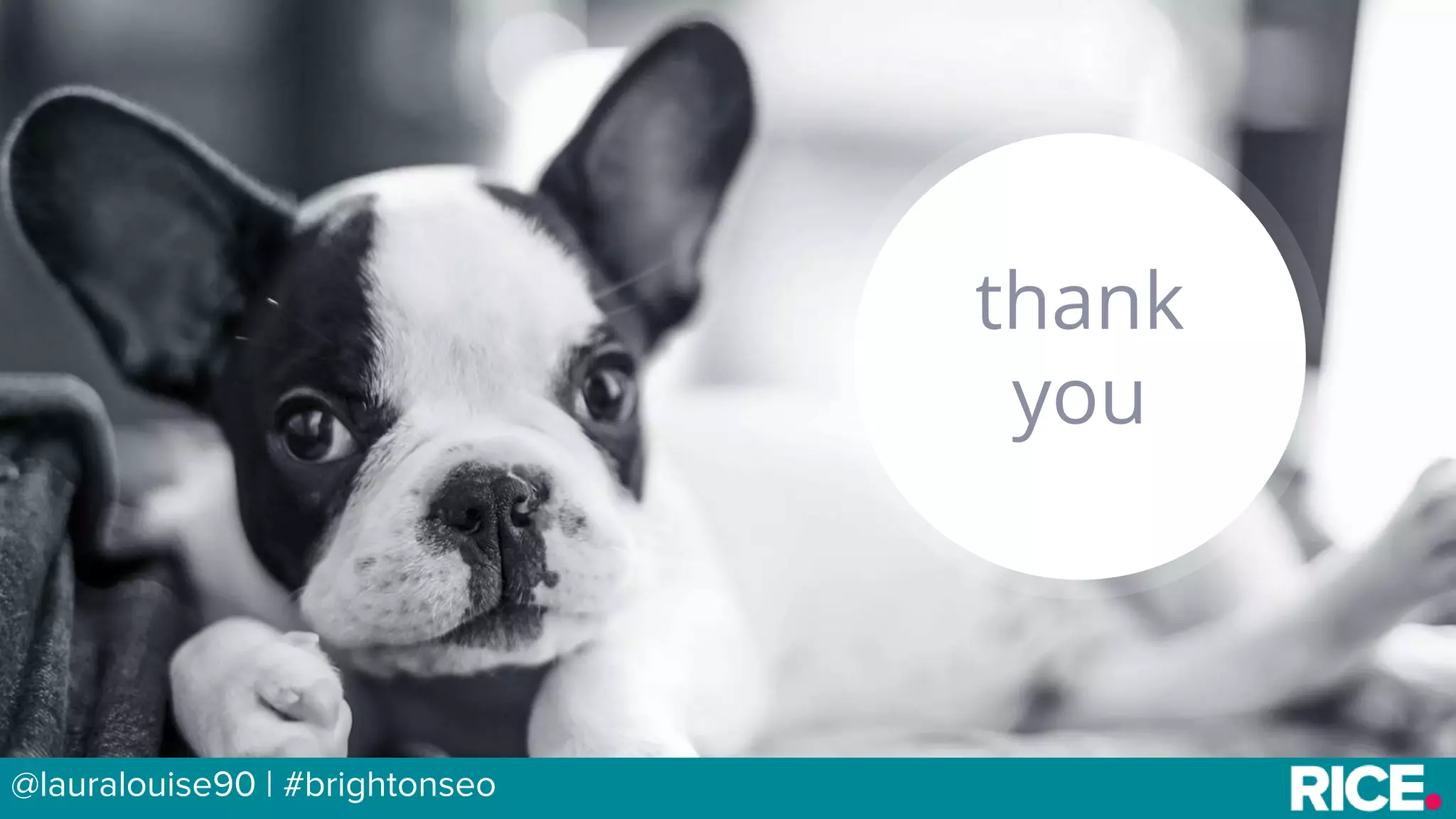 BRAUMGroup 58
thank
you
@lauralouise90 | #brightonseo
 