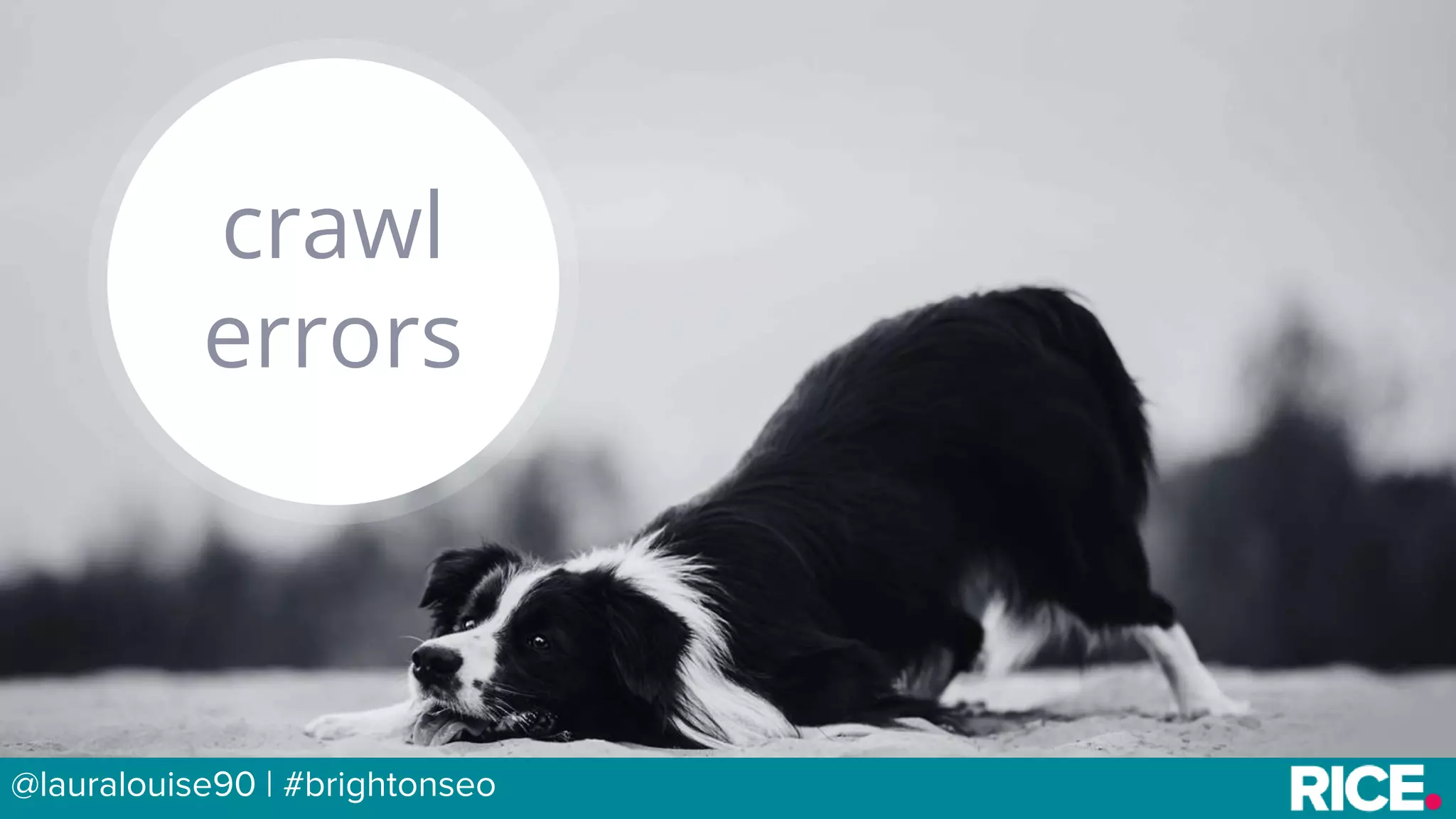 BRAUMGroup 7
crawl
errors
@lauralouise90 | #brightonseo
 