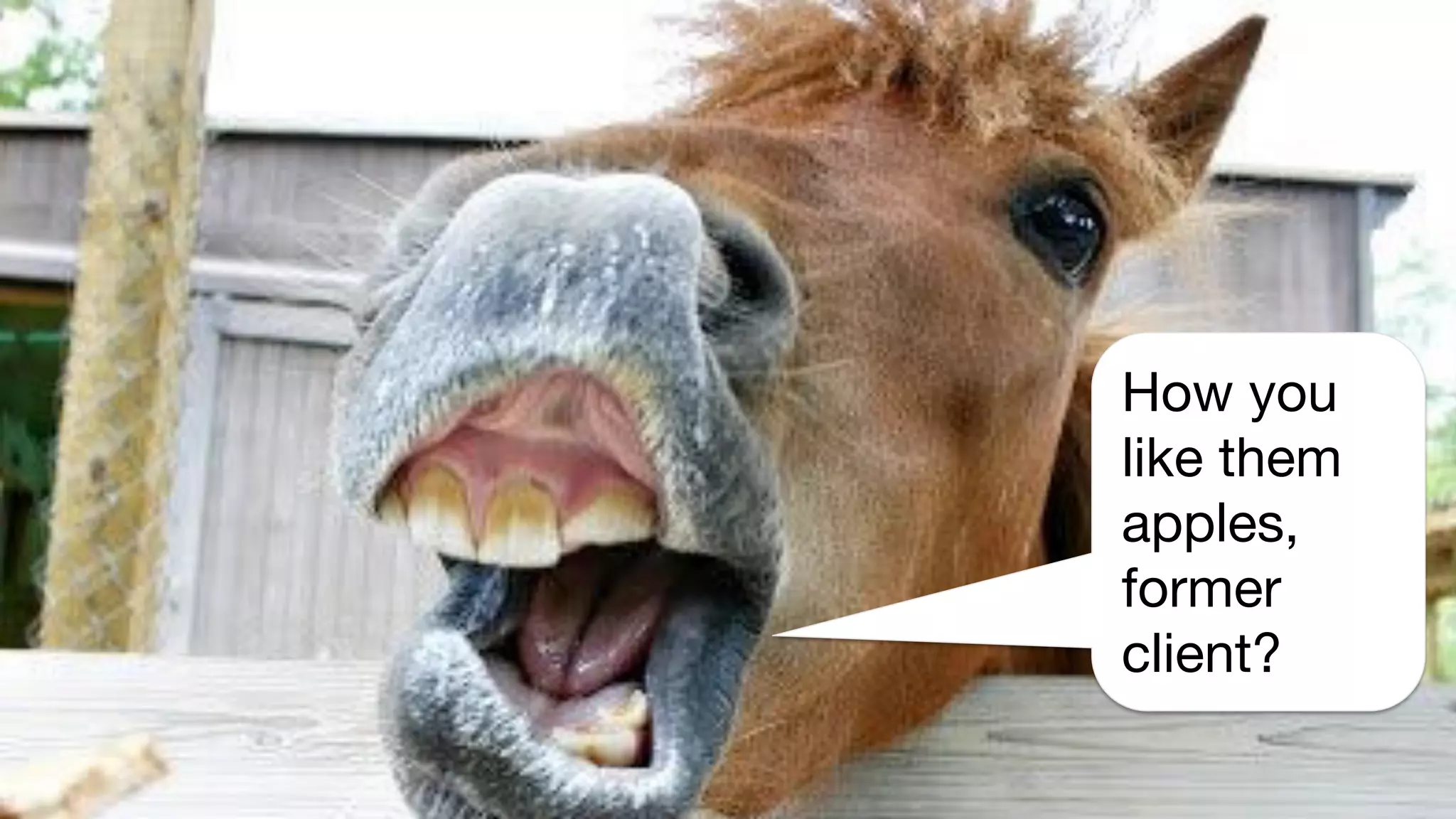 How you
like them
apples,
former
client?
 