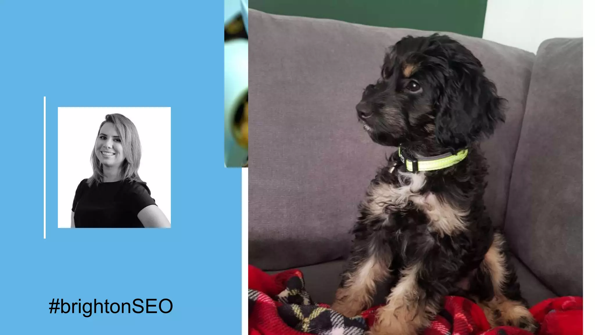 3 | Member firms and DTTL: Insert appropriate copyright
[To edit, click View > Slide Master > Slide Master]
Joanna Beech
Dog Lover
Worked in both Agency and
Client-side
Manager (SME)– Deloitte
#brightonSEO
 