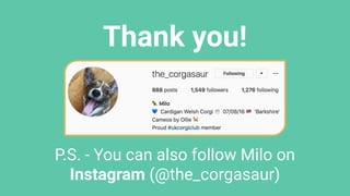Thank you!
P.S. - You can also follow Milo on
Instagram (@the_corgasaur)
 