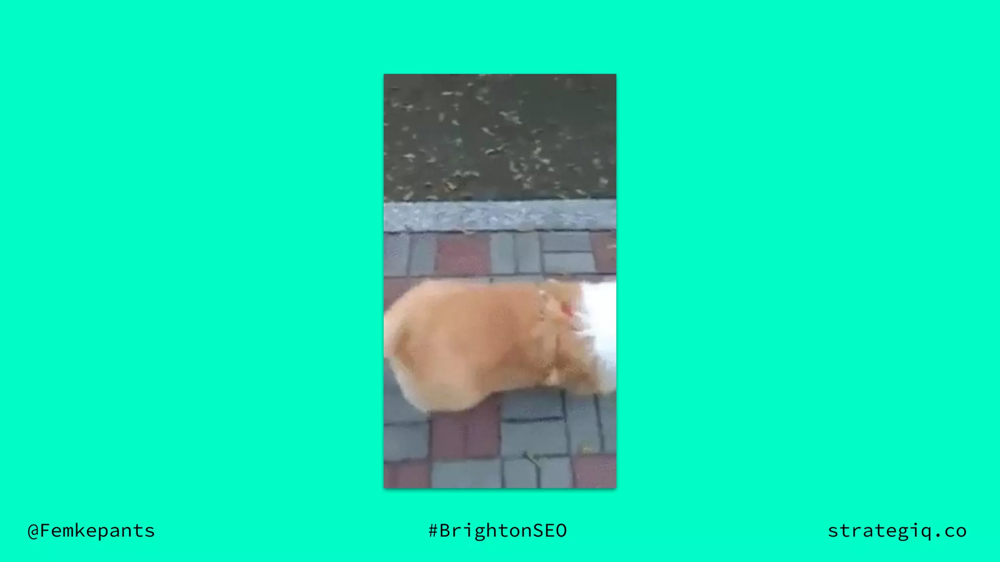 @Femkepants #BrightonSEO strategiq.co
 