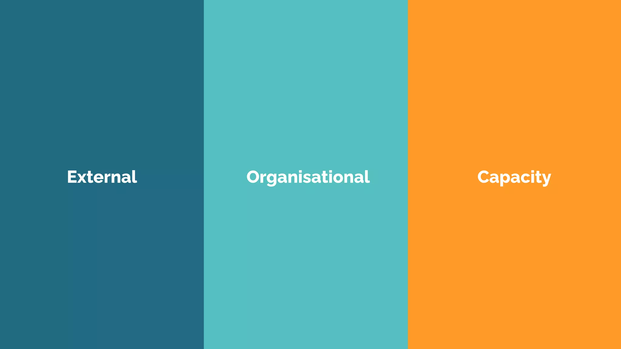 External Organisational Capacity
 