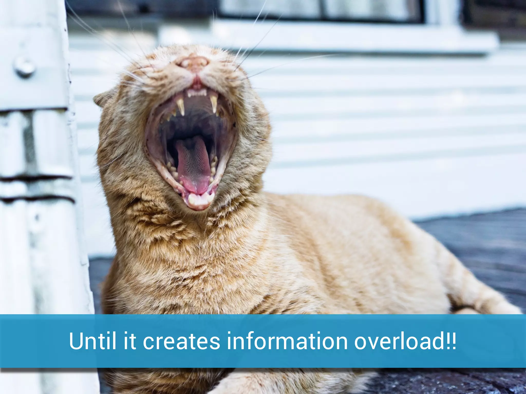 Until it creates information overload!!
 