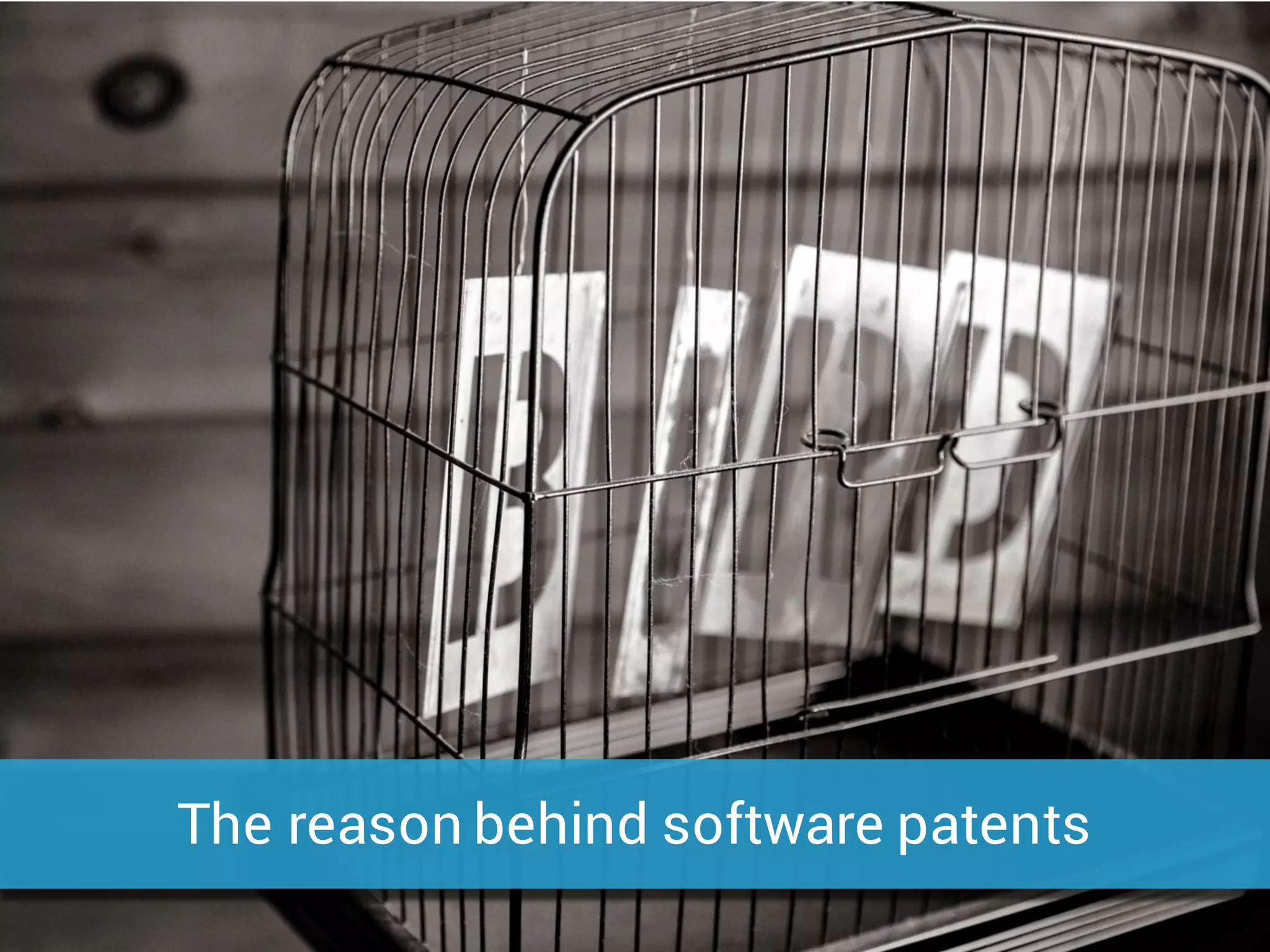 The reason behind software patents
 