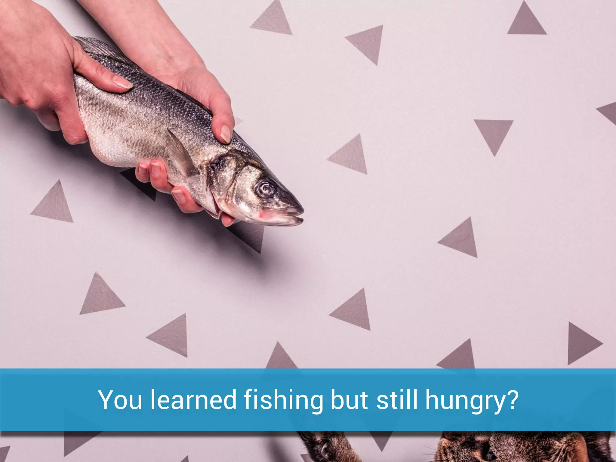 You learned fishing but still hungry?
 
