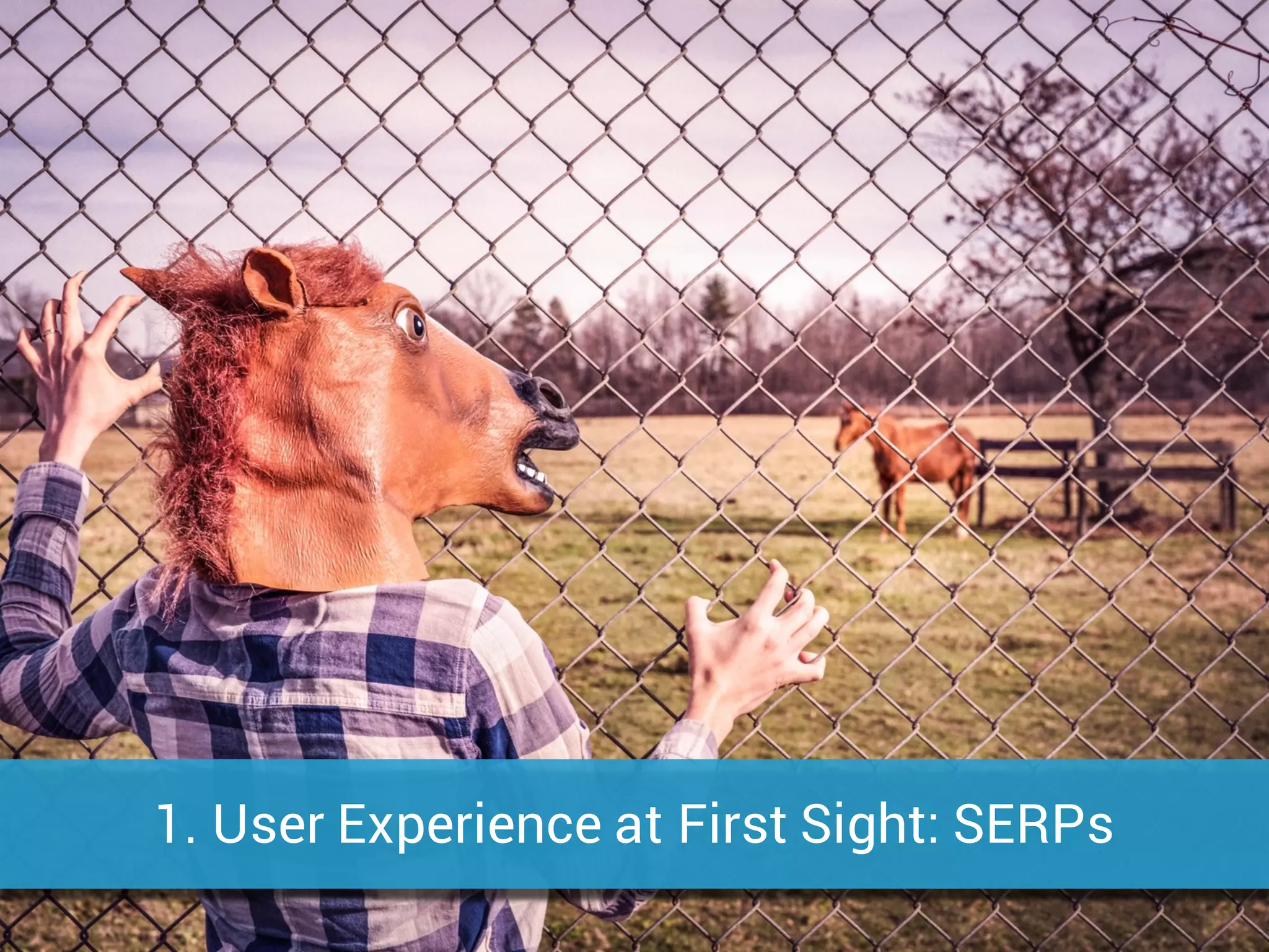 1. User Experience at First Sight: SERPs
 