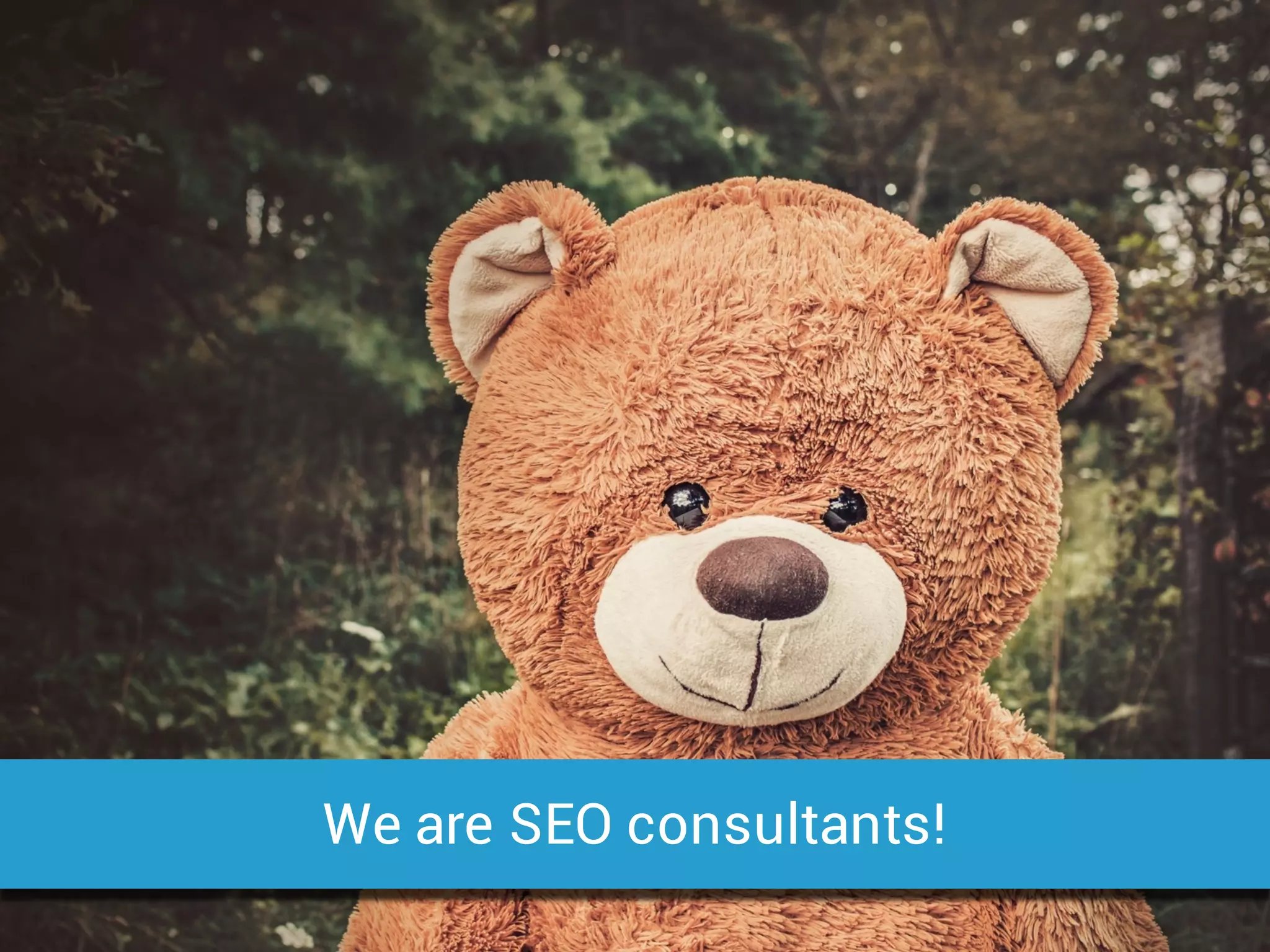 We are SEO consultants!
 