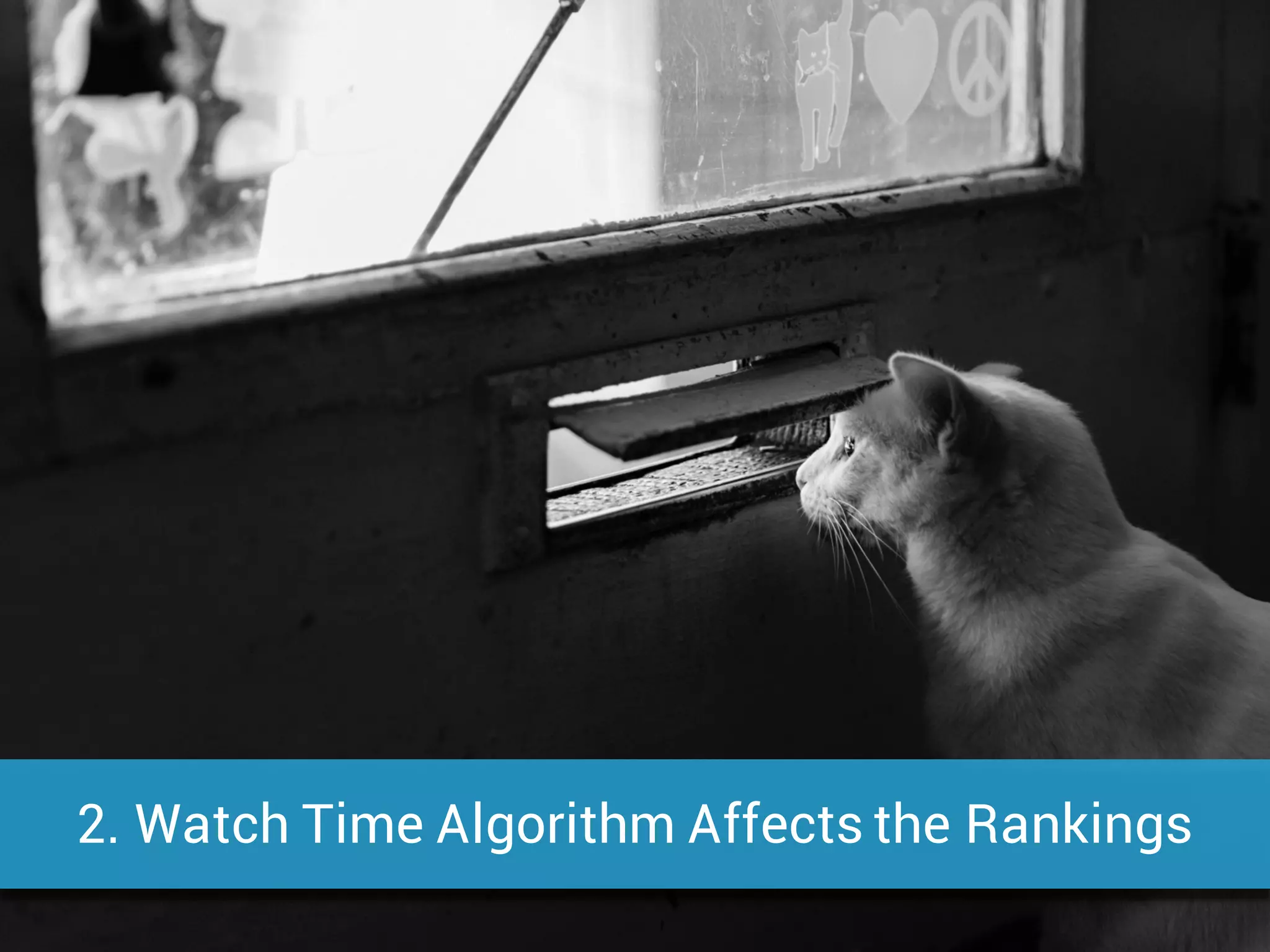 2. Watch Time Algorithm Affects the Rankings
 