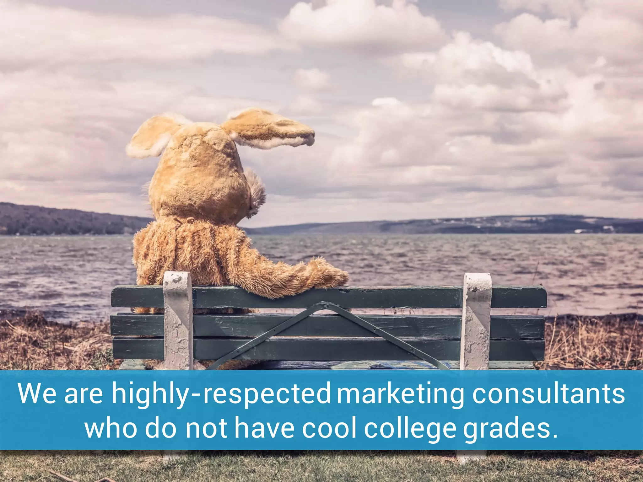 We are highly-respectedmarketing consultants
who do not have cool college grades.
 