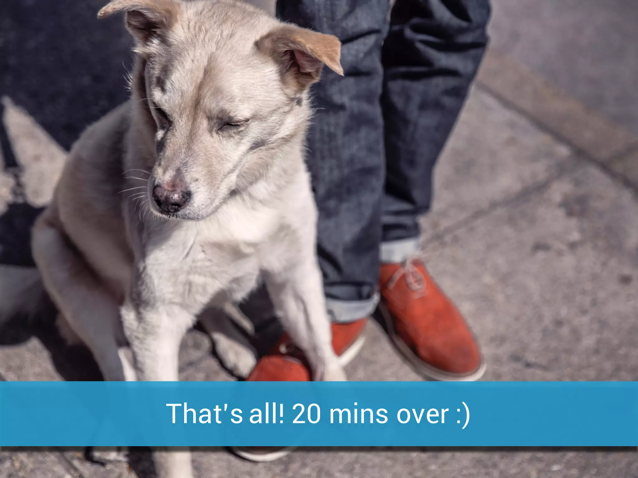 That’s all! 20 mins over :)
 