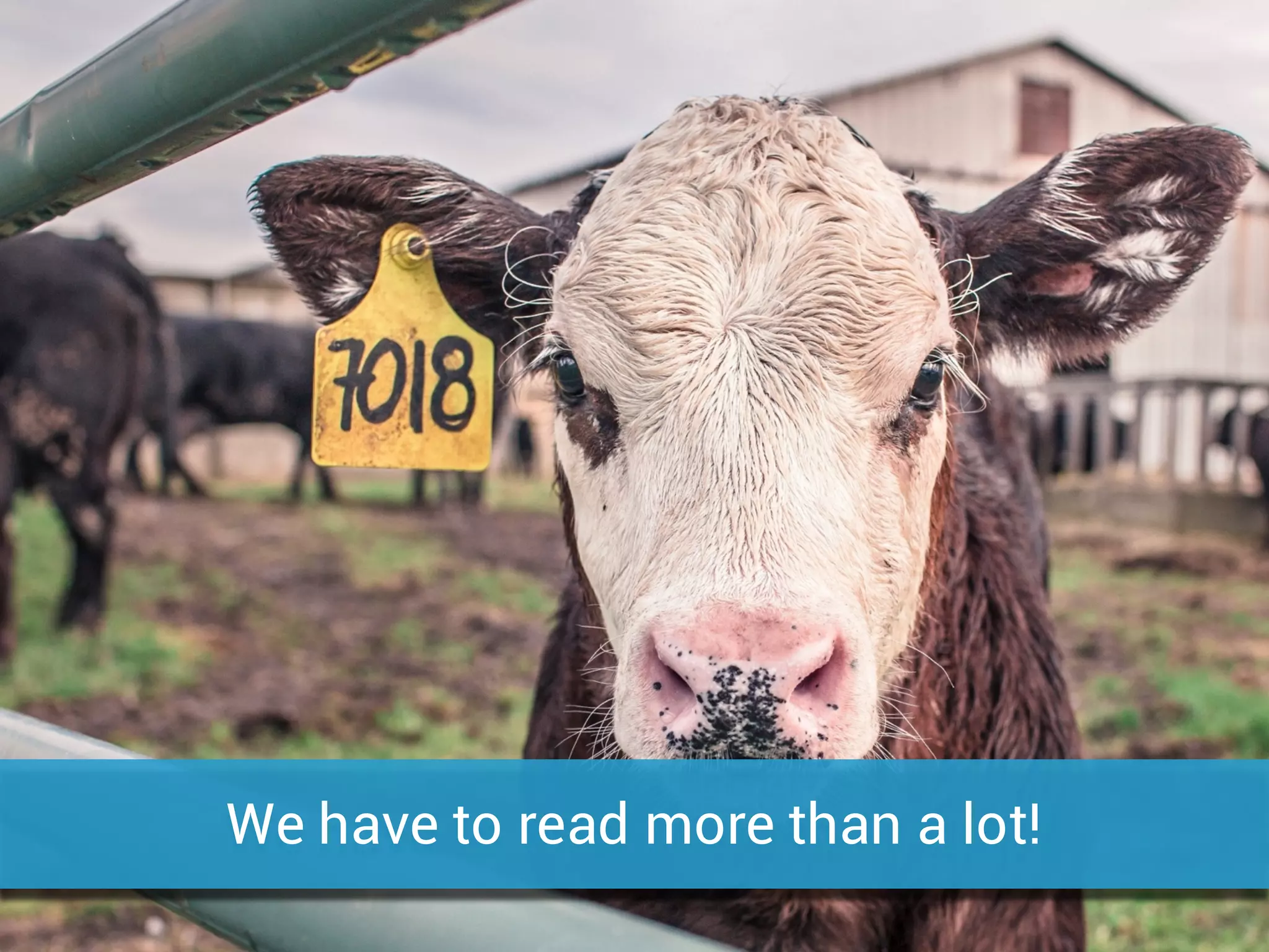 We have to read more than a lot!
 