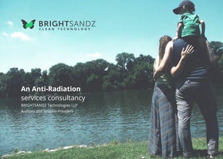 BRIGHTSANDZ Technologies LLP
Auditors and Solution Providers
An Anti-Radiation
services consultancy
 