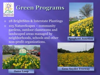 Neighborhood Cleanups