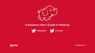 A business user’s guide to big data on Hadoop