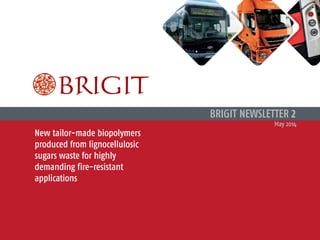 New tailor-made biopolymers
produced from lignocellulosic
sugars waste for highly
demanding fire-resistant
applications
BRIGIT NEWSLETTER 2
May 2014
 