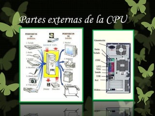 Partes externas de la CPU 
 