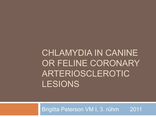 CHLAMYDIA IN CANINE
OR FELINE CORONARY
ARTERIOSCLEROTIC
LESIONS

Brigitta Peterson VM I, 3. rühm   2011
 