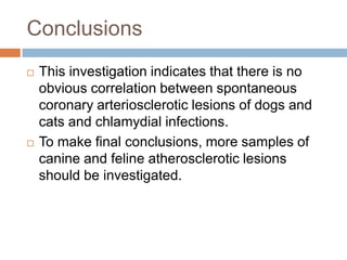 Conclusions
   This investigation indicates that there is no
    obvious correlation between spontaneous
    coronary arteriosclerotic lesions of dogs and
    cats and chlamydial infections.
   To make final conclusions, more samples of
    canine and feline atherosclerotic lesions
    should be investigated.
 