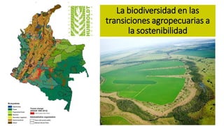 La biodiversidad en las
transiciones agropecuarias a
la sostenibilidad
 