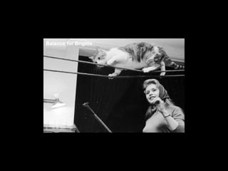 Balance for Brigitte 