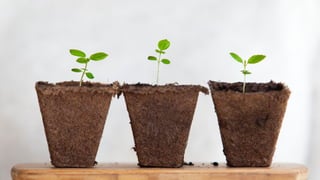 Living on the Edge: Elevating your SEO toolkit to the CDN