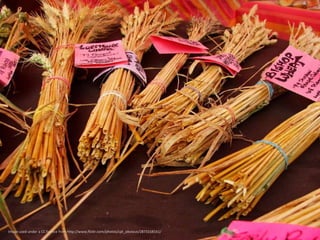 Image used under a CC licence from http://www.flickr.com/photos/cpt_obvious/2873158161/