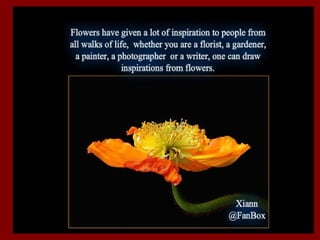 Brilliant flower collections
