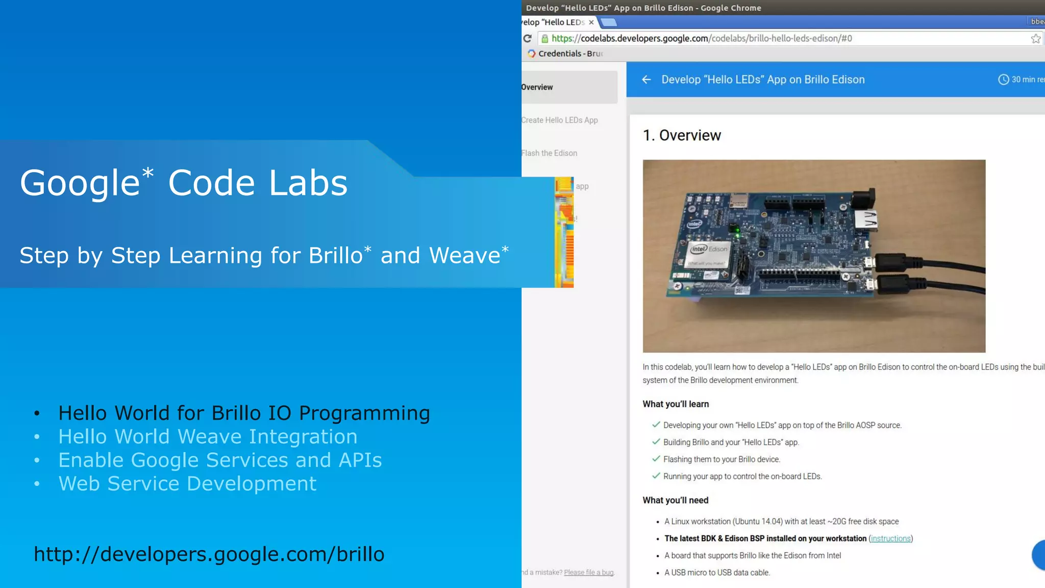 Google* Code Labs
Step by Step Learning for Brillo* and Weave*
• Hello World for Brillo IO Programming
• Hello World Weave Integration
• Enable Google Services and APIs
• Web Service Development
http://developers.google.com/brillo
 