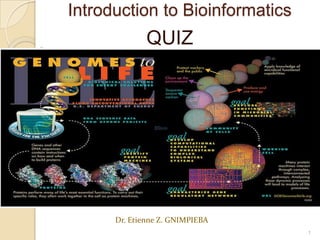 Introduction to Bioinformatics
QUIZ
Dr. Etienne Z. GNIMPIEBA
1
 